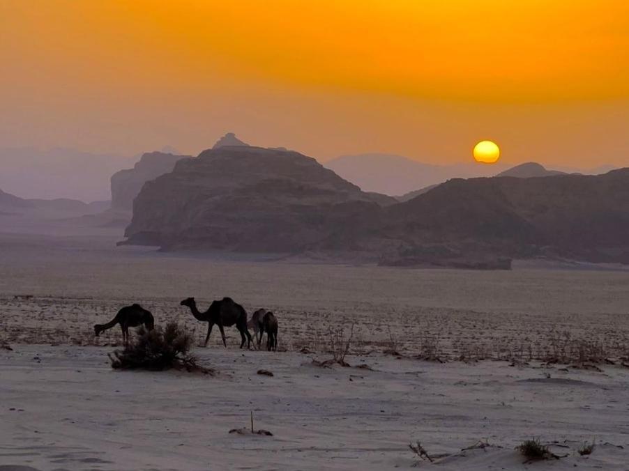 White Desert Camp Wadi Rum Ngoại thất bức ảnh
