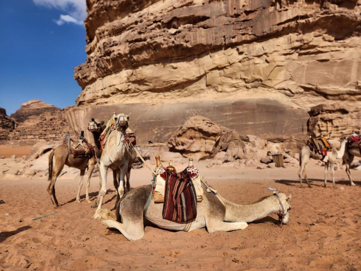 White Desert Camp Wadi Rum Ngoại thất bức ảnh