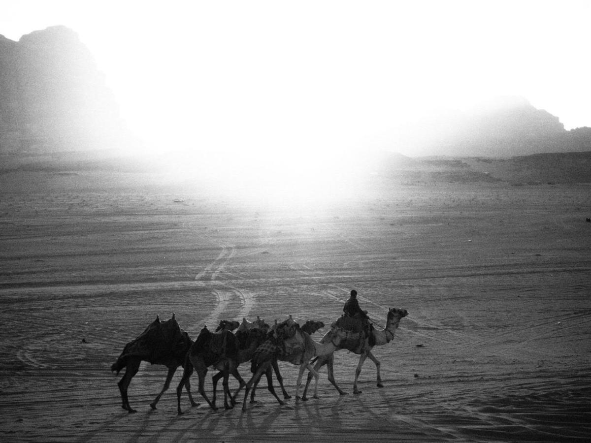 White Desert Camp Wadi Rum Ngoại thất bức ảnh